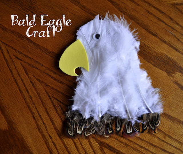 The Bald Eagle - Happy Home Fairy