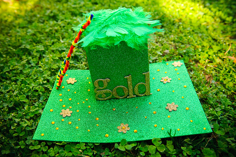 Leprechaun Trap Inspirations - Happy Home Fairy